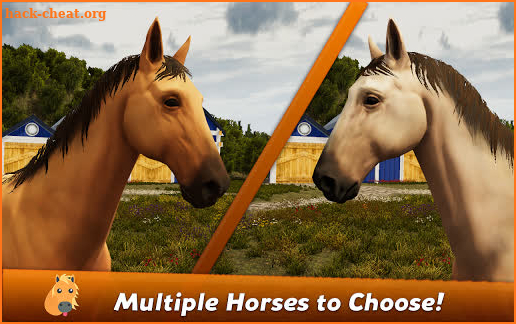 Horse Show Jumping Champions 2019 screenshot