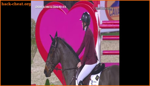 HORSE TV LIVE screenshot
