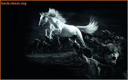 Horse Wallpaper screenshot
