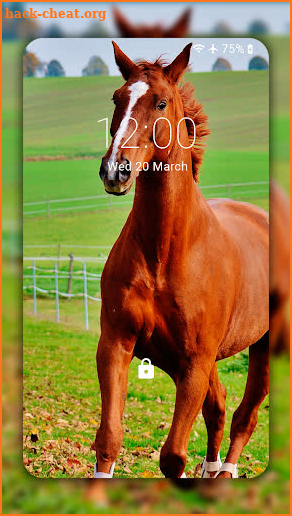 Horse Wallpaper HD : backgrounds & themes screenshot