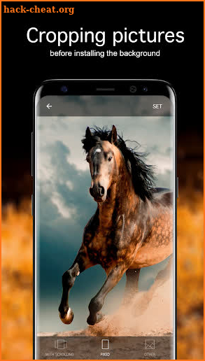 Horse Wallpapers 4K screenshot