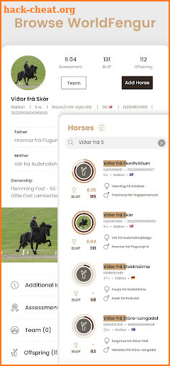 HorseDay screenshot