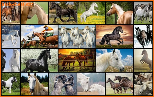 Horses Jigsaw Puzzles for Kids screenshot