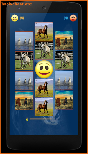 Horses memory game - beautiful photos of horses screenshot