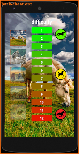 Horses memory game - beautiful photos of horses screenshot