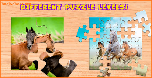 Horses Puzzle Game Free 🐴 screenshot