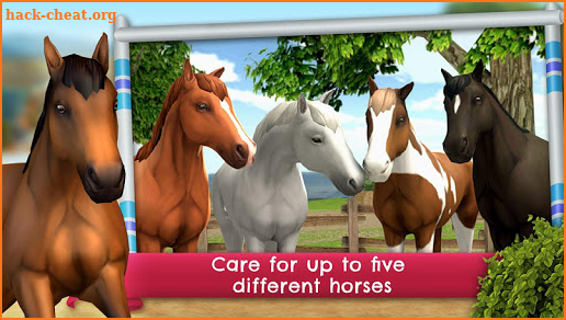 HorseWorld: Show Jumping screenshot