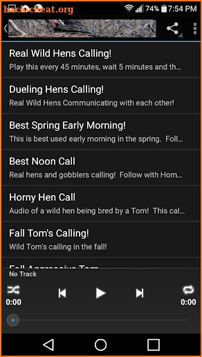 Hot Hen Electronic Turkey Call screenshot