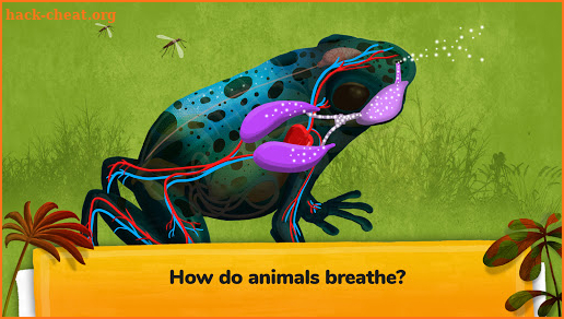 How do Animals Work? screenshot