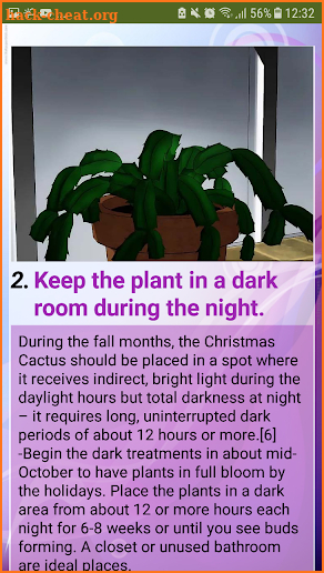 How to Care for a Christmas Cactus screenshot