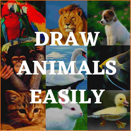 How To Draw Animals Easily screenshot