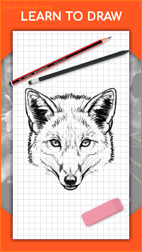How to draw animals step by step, drawing lessons screenshot