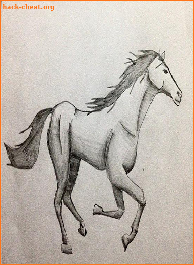 How to Draw Horses screenshot