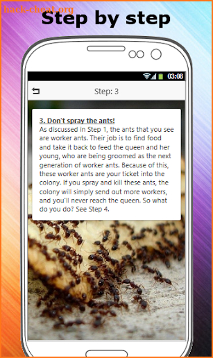 HOW TO GET RID OF ANTS screenshot