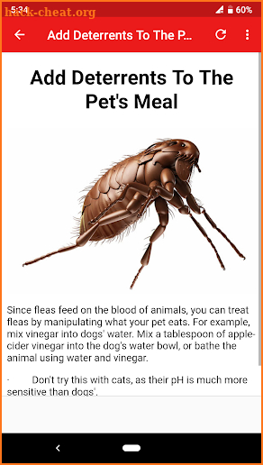 How To Get Rid Of Fleas screenshot