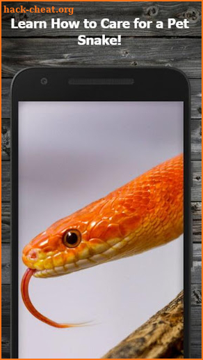 How to Own a Pet Snake screenshot