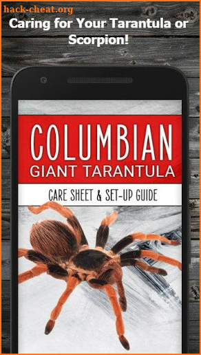 How to Take Care of a Pet Tarantula or Scorpion screenshot