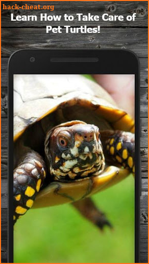 How to Take Care of a Pet Turtle screenshot
