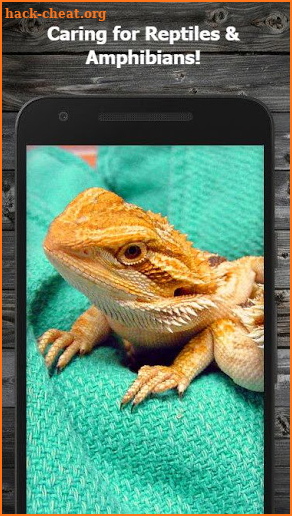 How to Take Care of Reptiles & Amphibians screenshot