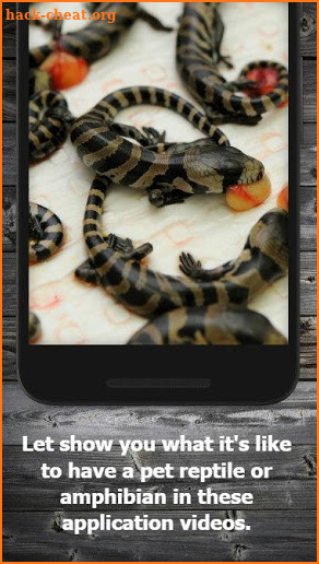 How to Take Care of Reptiles & Amphibians screenshot