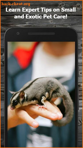 How to Take Care of Small & Exotic Pets screenshot