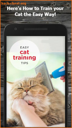 How to Train Your Cat screenshot