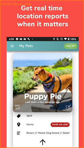 Huan: The Pet Protection Network screenshot