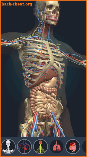 Human Anatomy 3D screenshot
