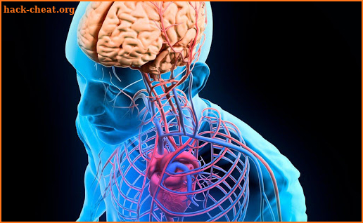 Human Anatomy 3D For Edication screenshot