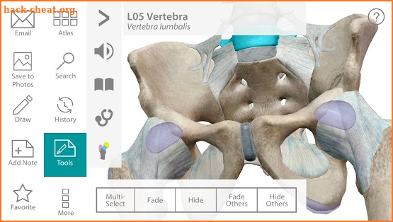 Human Anatomy Atlas screenshot