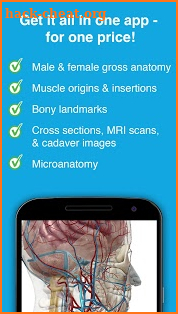 Human Anatomy Atlas 2017 screenshot