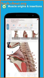 Human Anatomy Atlas 2017 screenshot