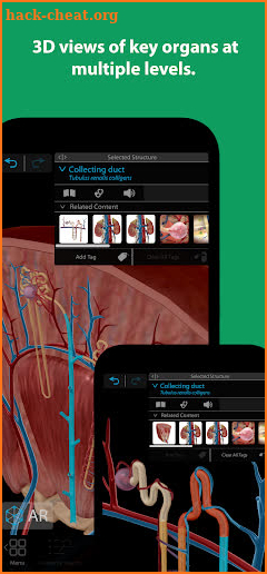 Human Anatomy Atlas 2022＋ screenshot
