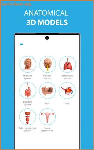 Human Anatomy Learning - 3D screenshot