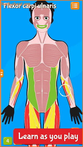 Human Anatomy Learning - Quiz screenshot