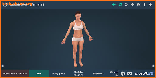 Human body (female) educational VR 3D screenshot