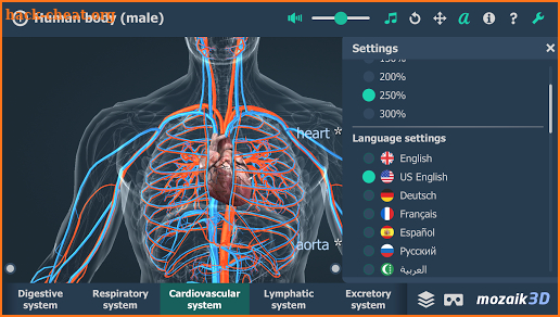 Human body (male) educational VR 3D screenshot