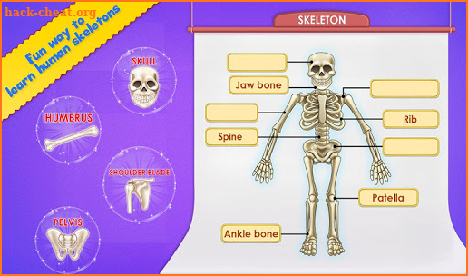 Human Body Parts - Preschool Kids Learning screenshot