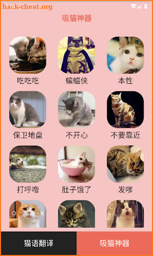 Human Cat translator Cat language translation 猫语翻译 screenshot