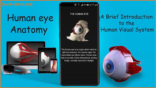 Human eye anatomy 3D screenshot
