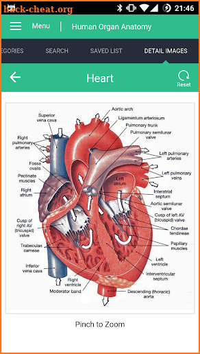 Human Organs Anatomy Reference Guide screenshot