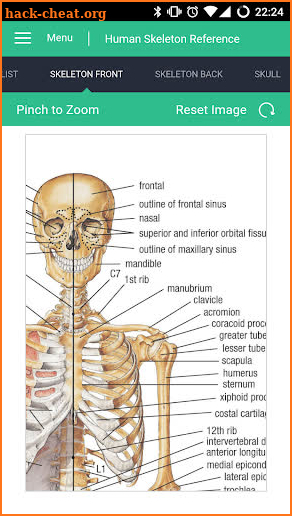 Human Skeleton Reference Guide screenshot