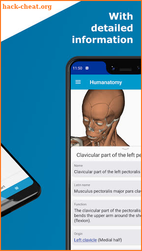 Humanatomy screenshot