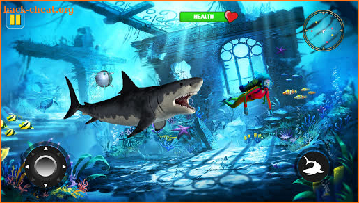 Hungry Shark Attack - Wild Shark Game 2019 screenshot