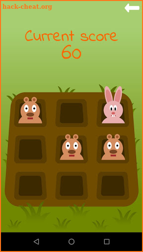 Hunt Rabbit screenshot