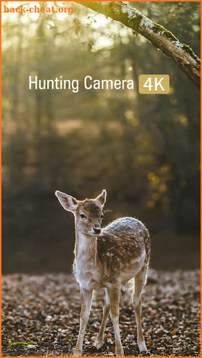 Hunting Camera 4K screenshot