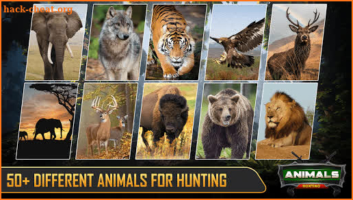 Hunting Games 2020 : Wild Deer Hunting screenshot