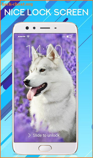 Husky Puppy Dogs Wallpaper Pin Pattern Lock Screen screenshot
