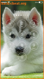 Husky Puppy HD Free PIN Lock screenshot