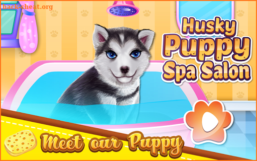 Husky Puppy Spa Salon screenshot